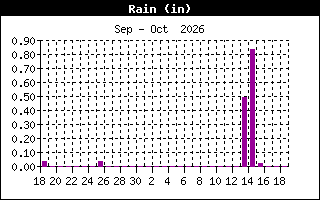 Rain